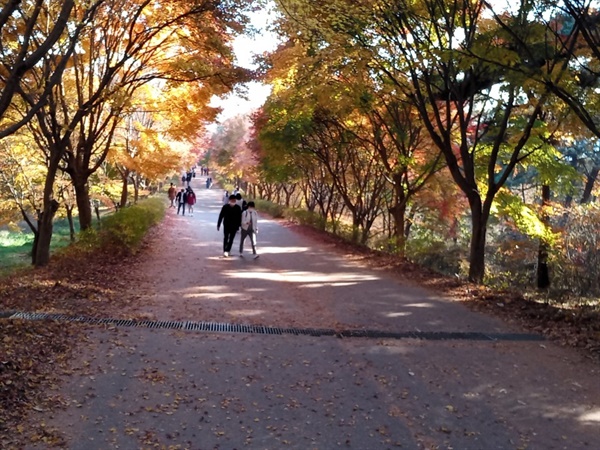 독립기념관 단풍나무숲길을 산책하는 사람들이 꽤 많았다.