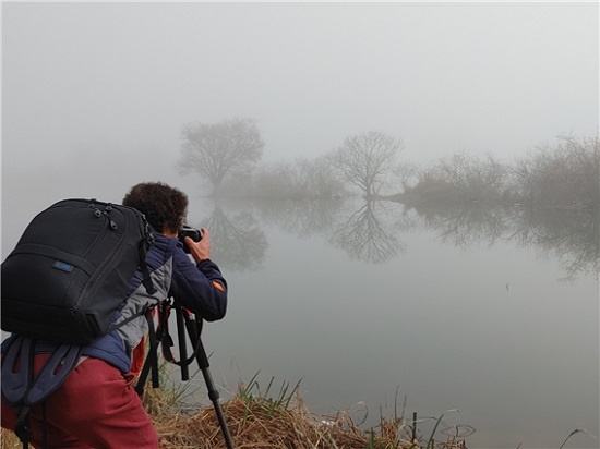 윤희철(62) 한국사진작가협회 제천지부 간사가 용담호 저편에 보이는 메타세쿼이아 나무를 촬영하고 있다.