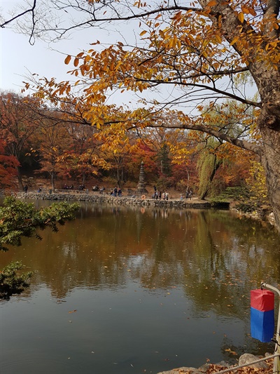 춘당지 연못의 가을