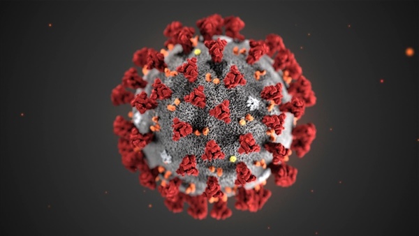 CDC에서 제공한 코로나 바이러스 이미지
