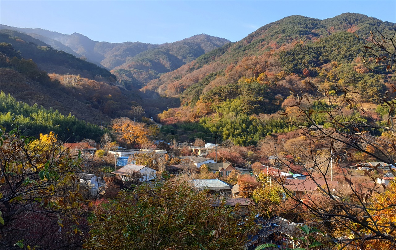 산수유나무를 심어 자식들을 키운 구례군 산동면 현천마을 전경. 지난 11월 15일 오후 풍경이다.