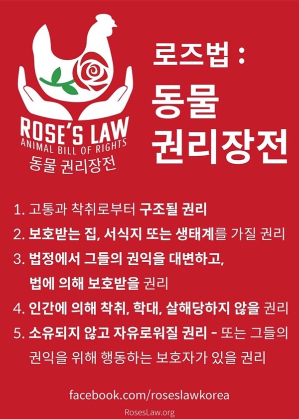ⓒ 동물권리장전 한국 www.facebook.com/roseslawkorea