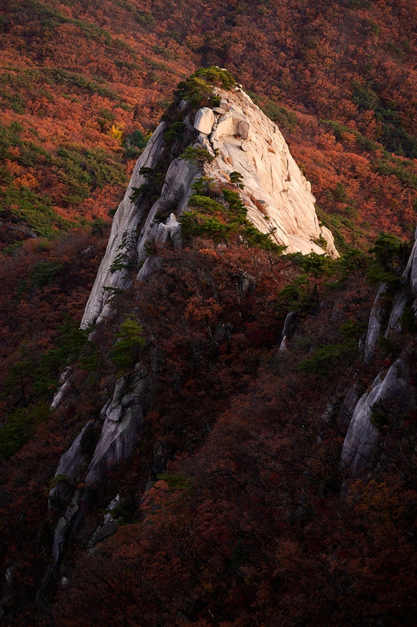  날카로운 삼각형 형상을 한 이 봉우리는 마치 가을 풍경을 가로질러 절단해버리는 듯하다. 하지만 오른 편에서 날아드는 부드러운 빛과 함께 이 봉은 원래보다 둥글둥글하고 순해보인다. 여기서 보너스 퀴즈 : 능선 한 가운데를 자세히 보시면 18세기 초 북한산성의 흔적도 찾아볼 수 있습니다. 어디일까요? 정답 : 능선의 윗부분 커다란 직사각형 모양 바위에서 조금 아랫부분. 