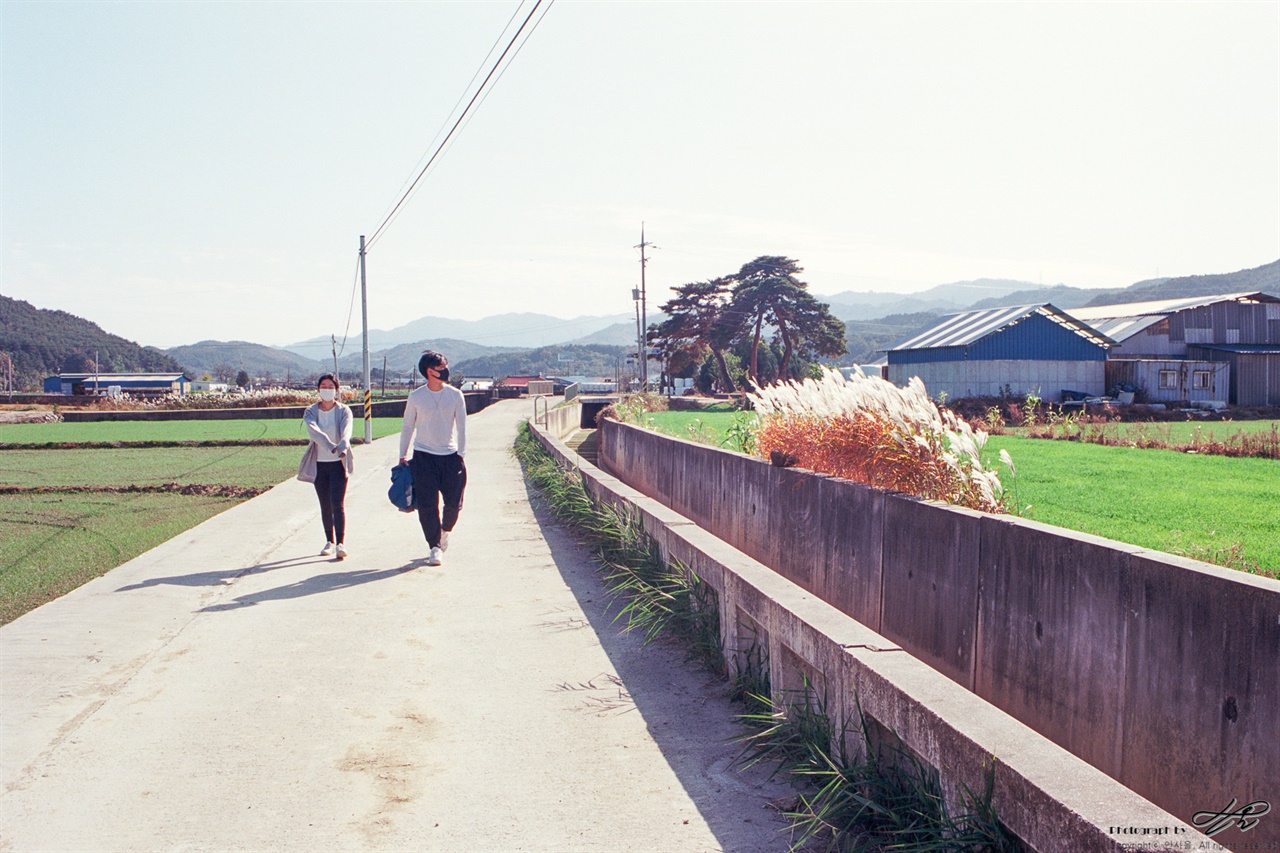 가을 햇살과 함께 (MZ-S/Ektar100) 선선히 불어오는 바람에 억새가 나부끼고 있었다.