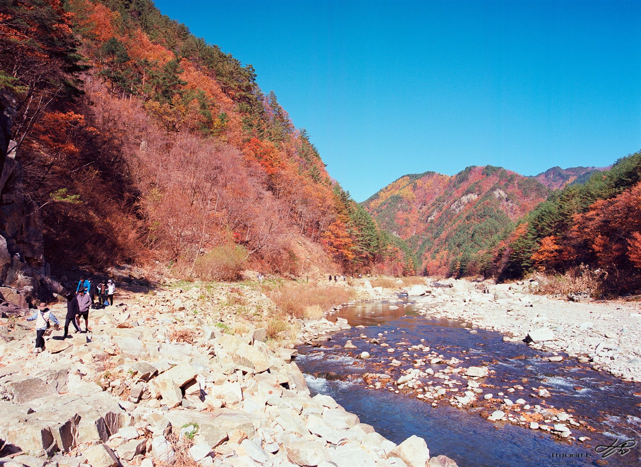 (645N/Ektar100) 바위의 색은 계절마다 같을 것인데 그 마저도 가을 빛을 띠는 것 같았다.