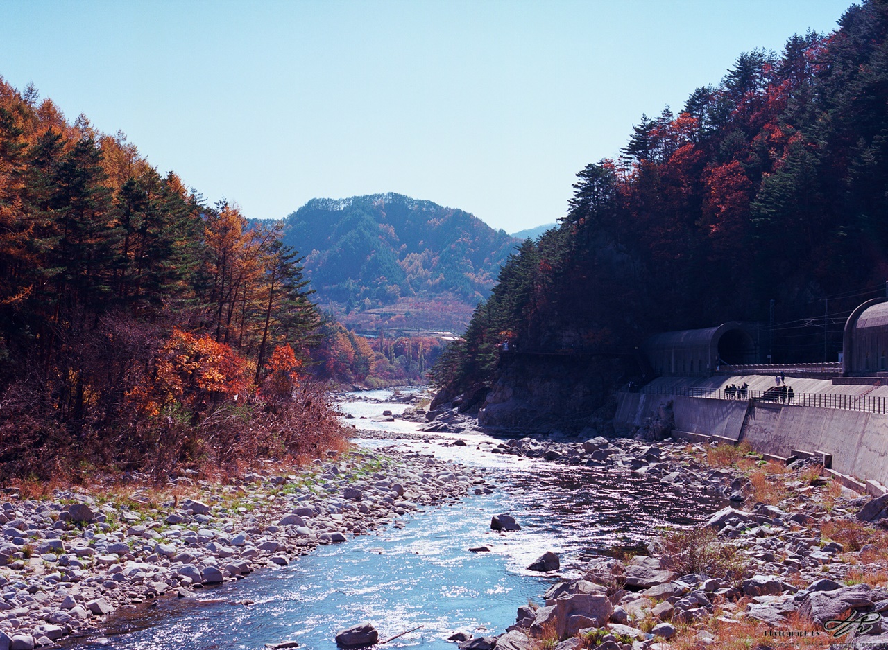 (645N/Ektar100) 기찻길 바로 옆으로 마련된 길도 있어서 느리게 다니는 관광열차와 인사를 할 수 있다.