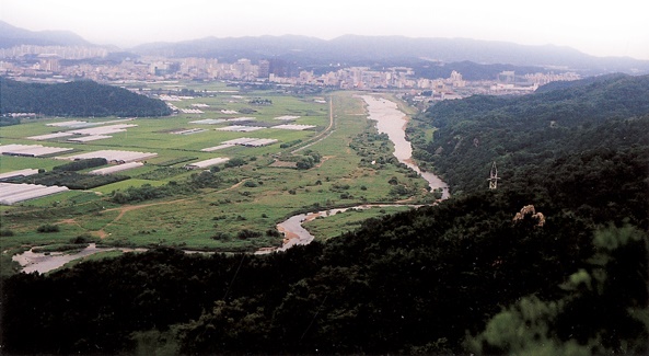 대전에서 유일한 자연하천 구간 월평공원의 과거모습