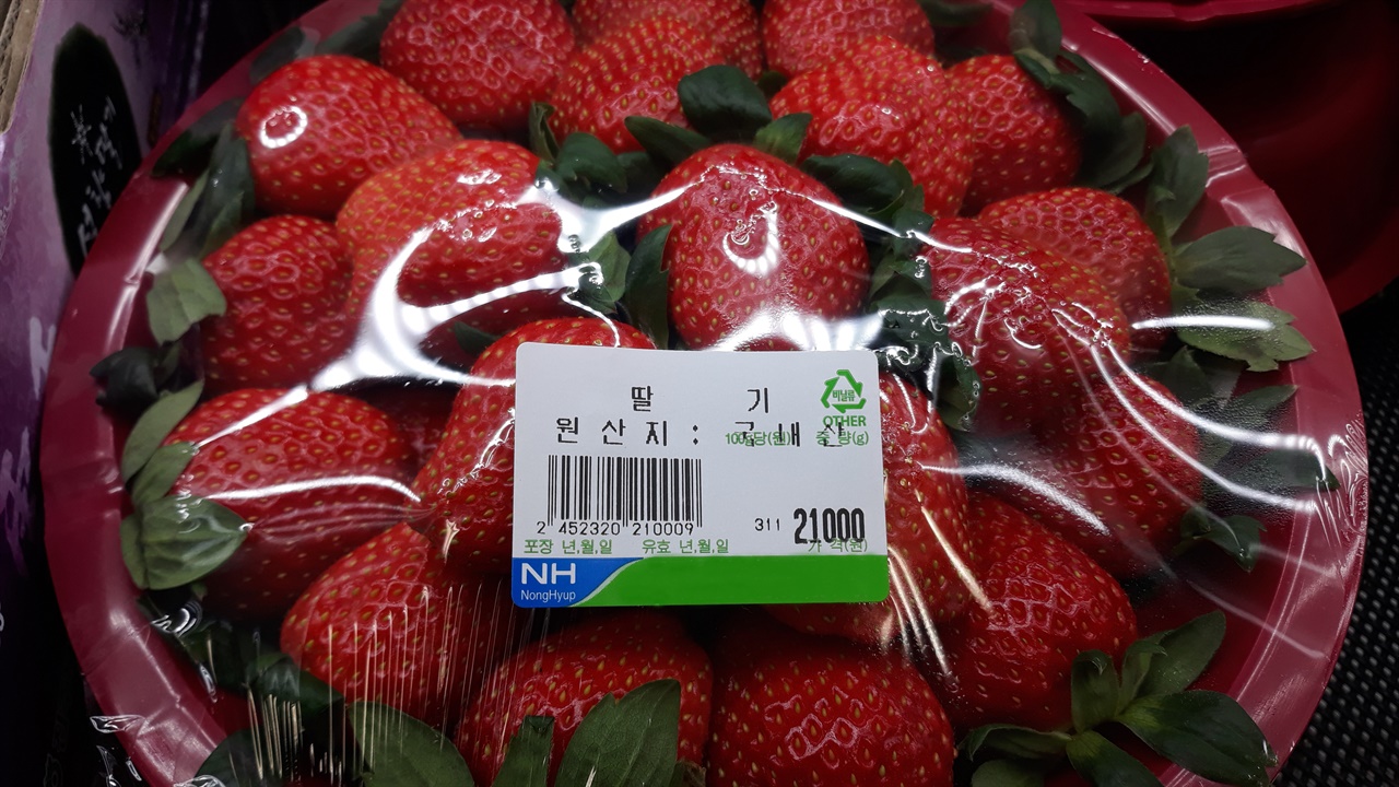 가격이 비싸기는 하지만, 이 계절에 벌써 딸기가 팔리고 있다.