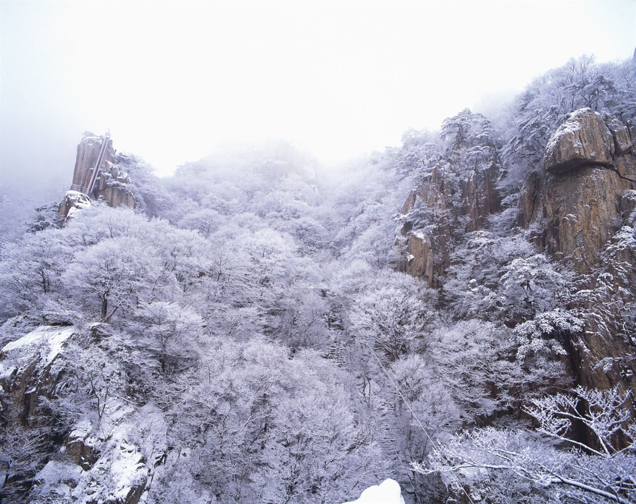 대둔산의 겨울 (67ii/RVP50) 2017년 1월 촬영. 눈이 내리는 중이라 파란 하늘은 없었지만 즉석에서 만들어진 눈꽃이 보송보송했다.