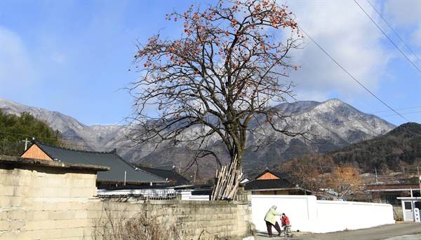  12월 14일 경남 거창군 북상면 남덕유산 능선의 설경.