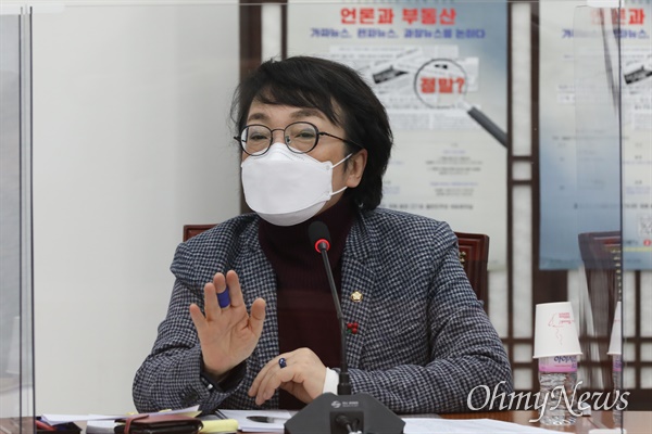 김진애 열린민주당 원내대표가 발언을 하고 있다.(자료사진)