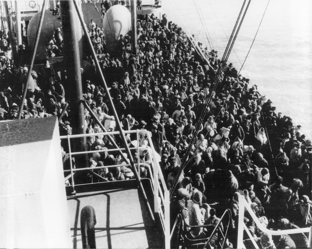  14000명의 피난민을 태우고 흥남부두를 탈출한 메러디스 빅토리호,손양영씨의 부모님도 이 배에 탔다.