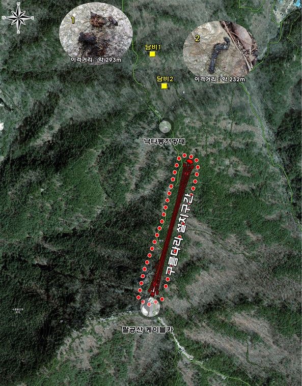 현지조사시 담비의 서식을 확인할 수 있는 분변이 발견되었다.