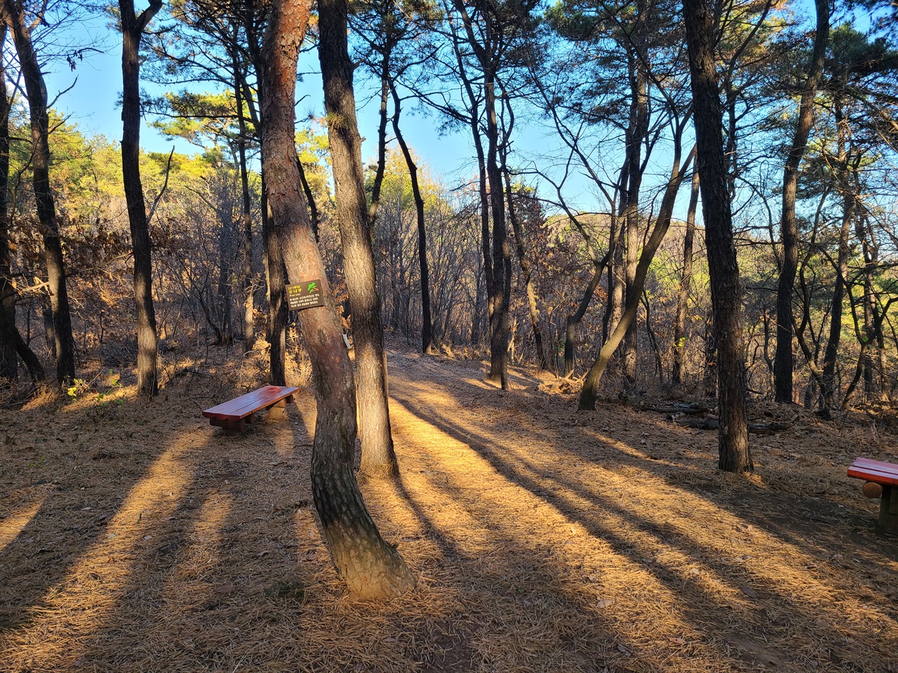 인적이 드문 겨울산은 고요함이 흐릅니다.