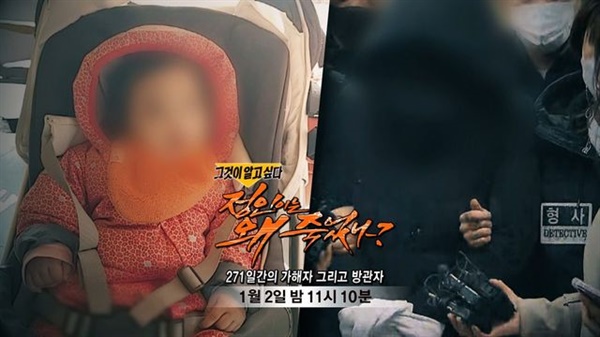 지난 2일 SBS <그것이 알고 싶다>가 "정인이는 왜 죽었나? - 271일간의 가해자 그리고 방관자"를 방송하면서 '서울 양천구 아동학대 사망 사건'에 대한 관심이 높아지고 있다.