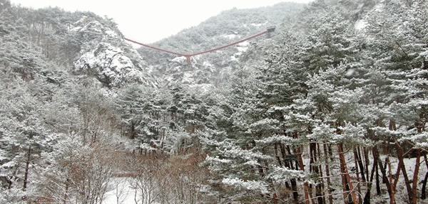 경남 거창군 가조면 우두산에 Y자형 출렁다리.