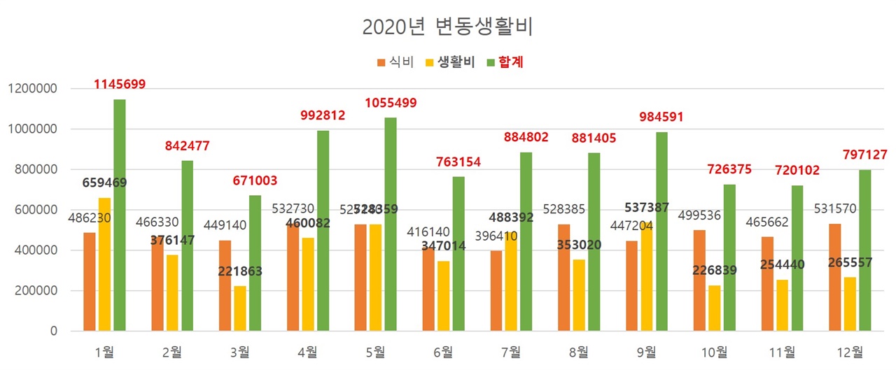  2020년 변동생활비