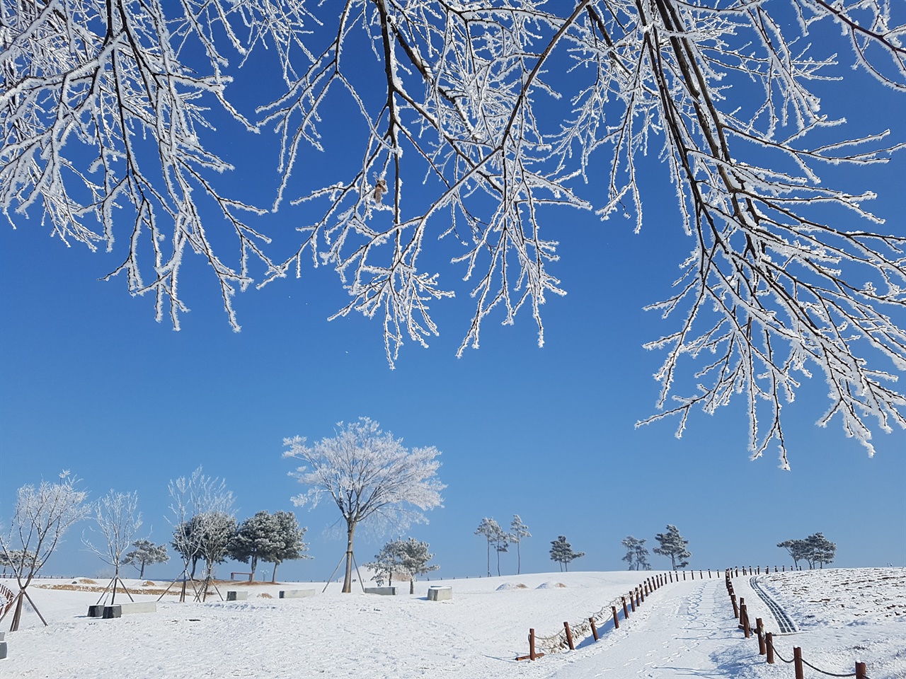 경북 의성군 조문국 유적지의 겨울 풍경.