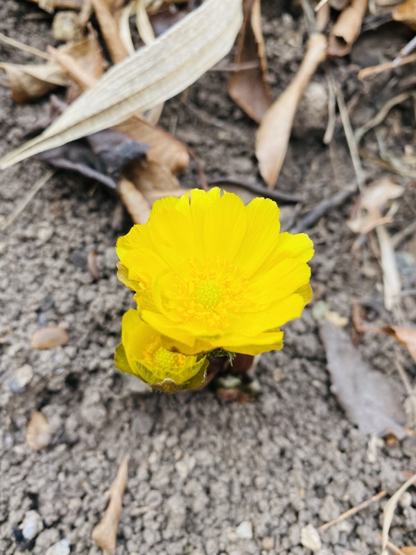 냉천공원