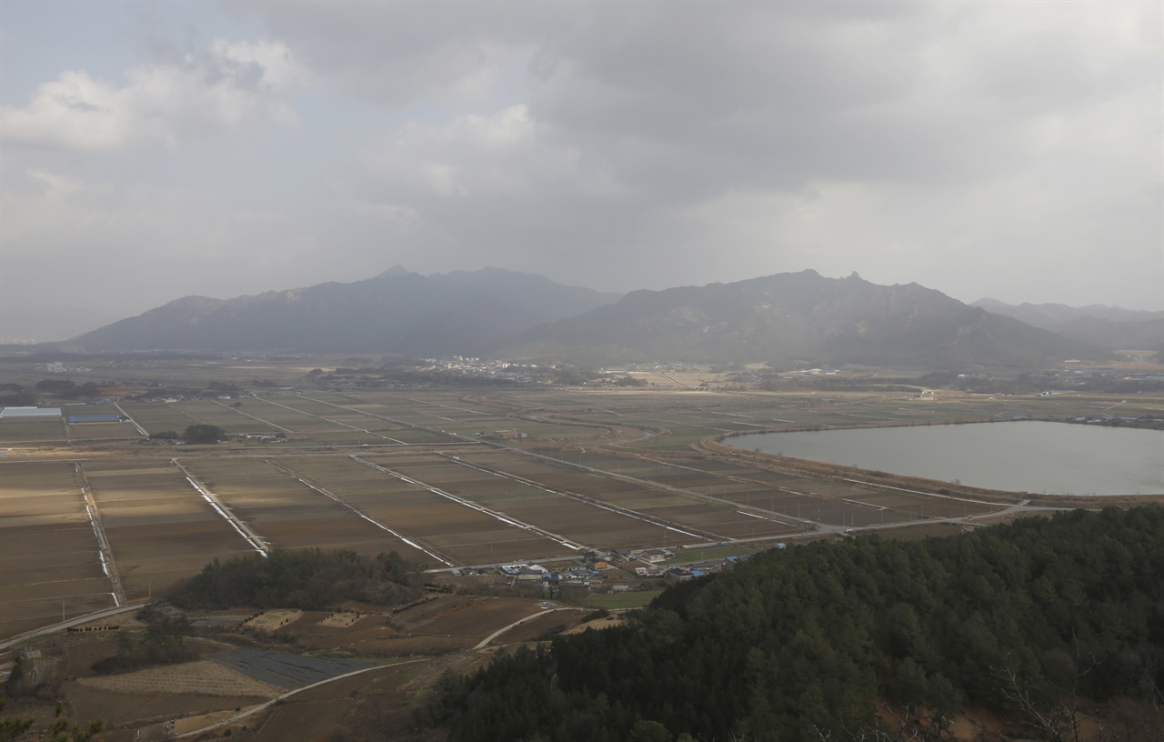  철암산에서 본 월출산과 들녘. 하춘화가 부른 '영암아리랑'의 노랫말에 나오는 월출산 풍경이다.