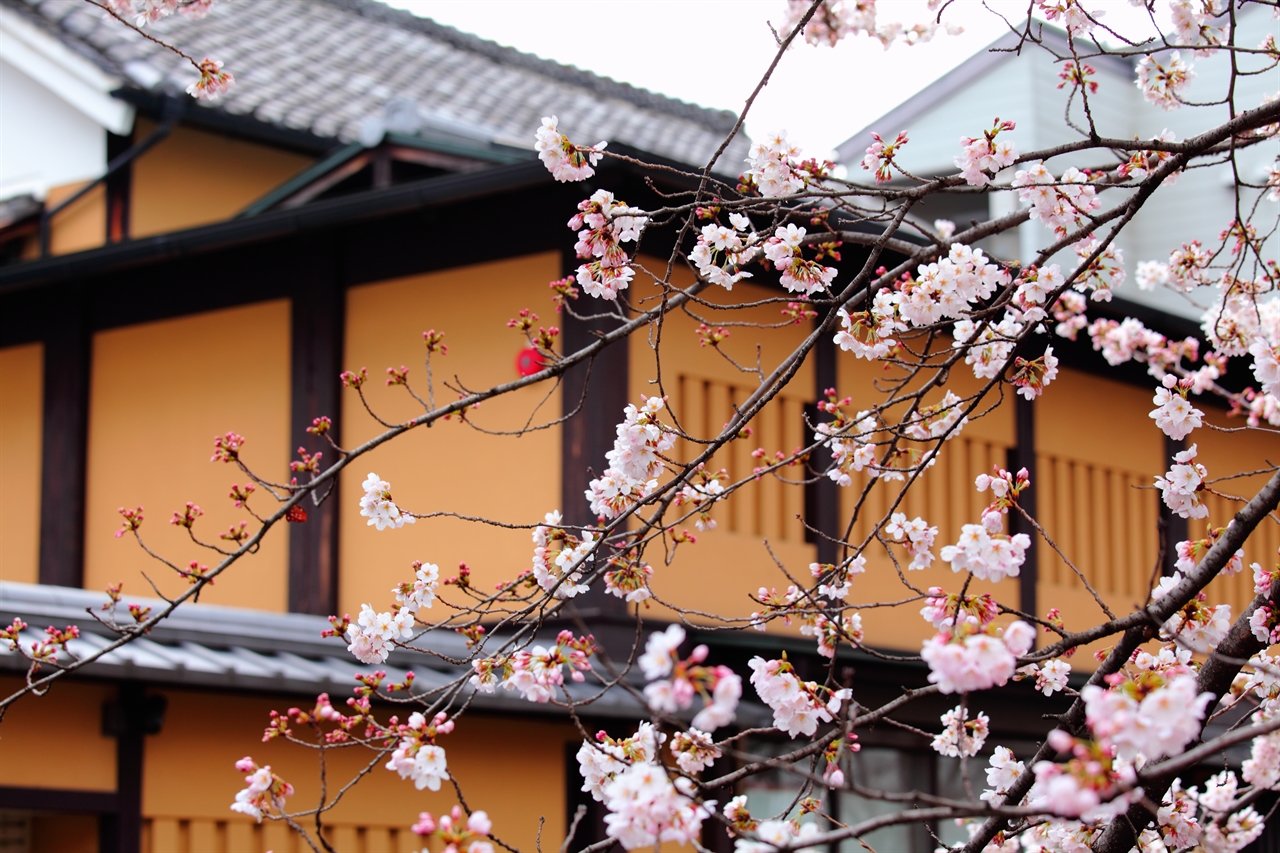 일본 전통 가옥.