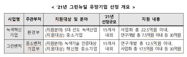  2021년 그린뉴딜 유망기업 선정 개요