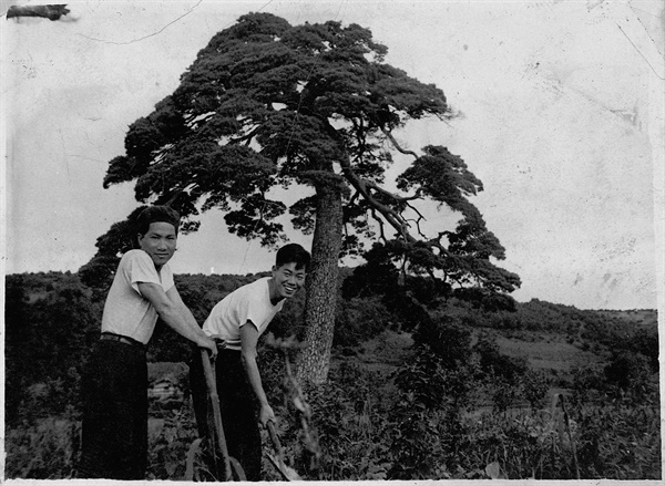  1954년, 스물두 살, 전쟁이 끝난 직후 백기완은 벗들과 함께 <자진학생녹화대>를 결성하여 민족주의를 고취시키는 나무심기운동을 전국적으로 전개, 7년 동안 전쟁으로 폐허가 된 조국강산에 200만 그루가 넘는 나무를 심었고, 이어서 강원도 양양, 지리산 일대, 경기도 여주 등을 돌며 <자진농촌계몽대>를 조직하여 농민운동에 투신하며 젊은 날을 보냈다. 