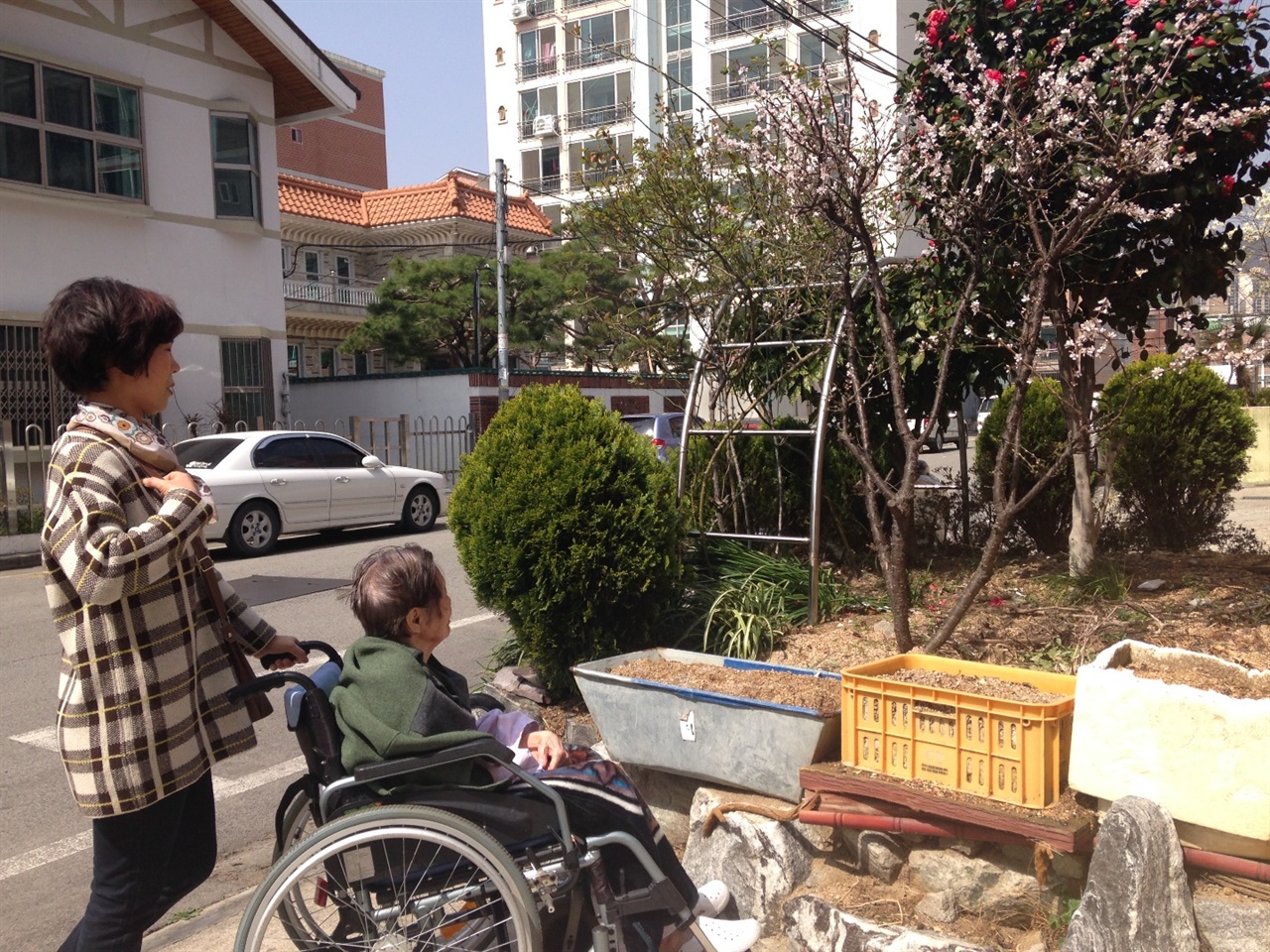 박은정(왼쪽)씨와 함께 병원서 나온 할머니가 휠체어에 앉아 매화꽃을 바라보고 있다. 