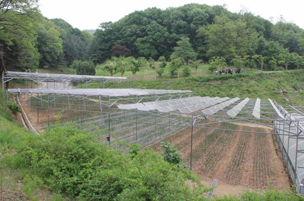 새마을운동 중앙연수원 내 유기농-태양광 발전소