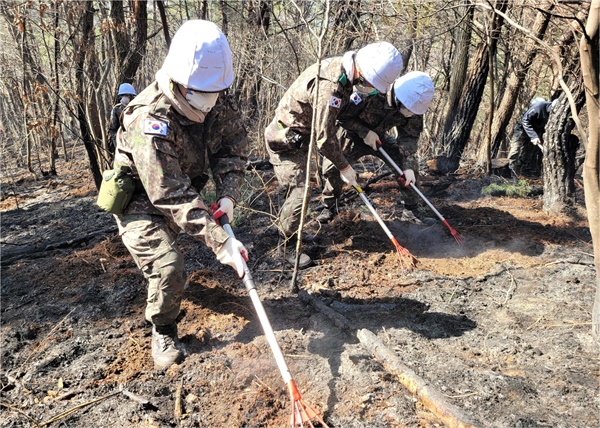 2월 22일 하동 악양 산불 현장에 육군 제39보병사단 장병들이 투입되어 진화작업을 벌이고 있다.