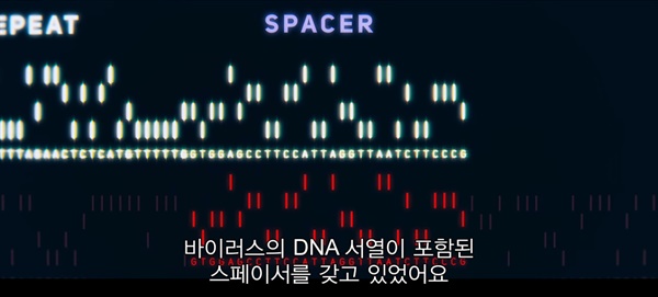영화 스틸컷  리피트(repeat)-스페이서(apacer) 구조에서 스페이서가 바이러스의 DNA 염기서열을 복제해서 갖게 된 모습 