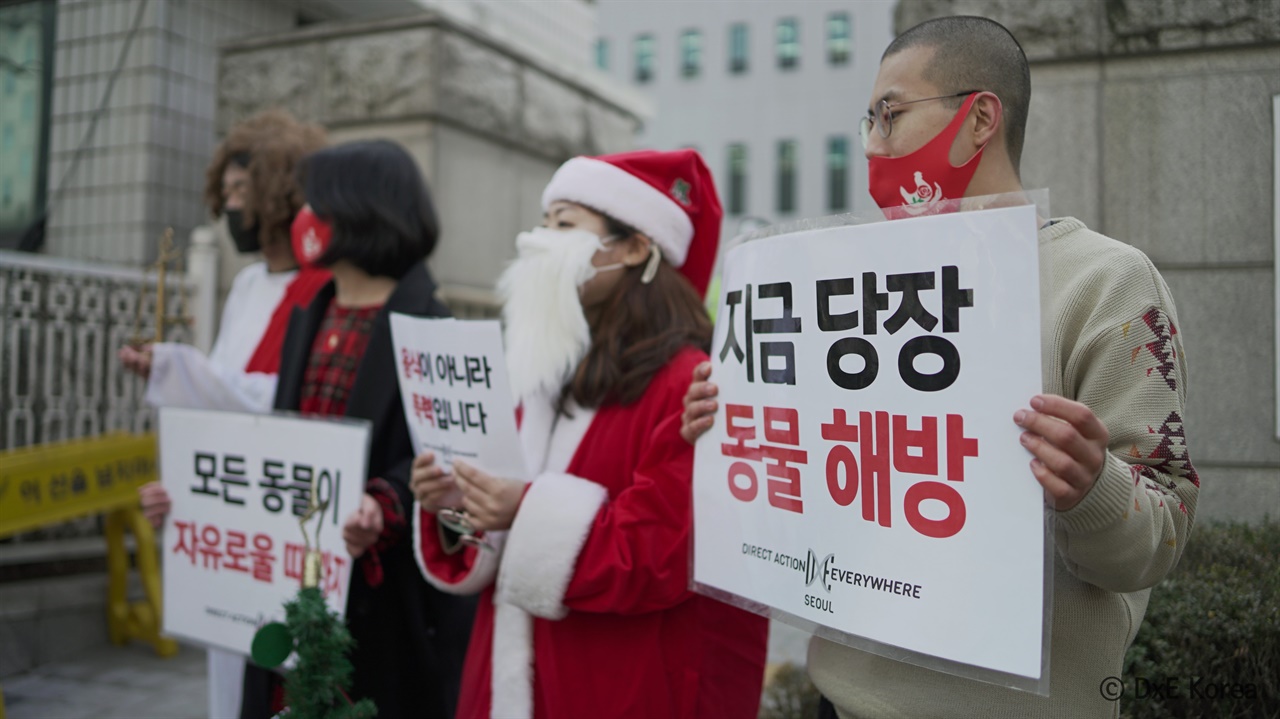디엑스이 회원들이 3월 3일 재판이 열린 서울남부지방법원 앞에서 손팻말을 들고 있다.