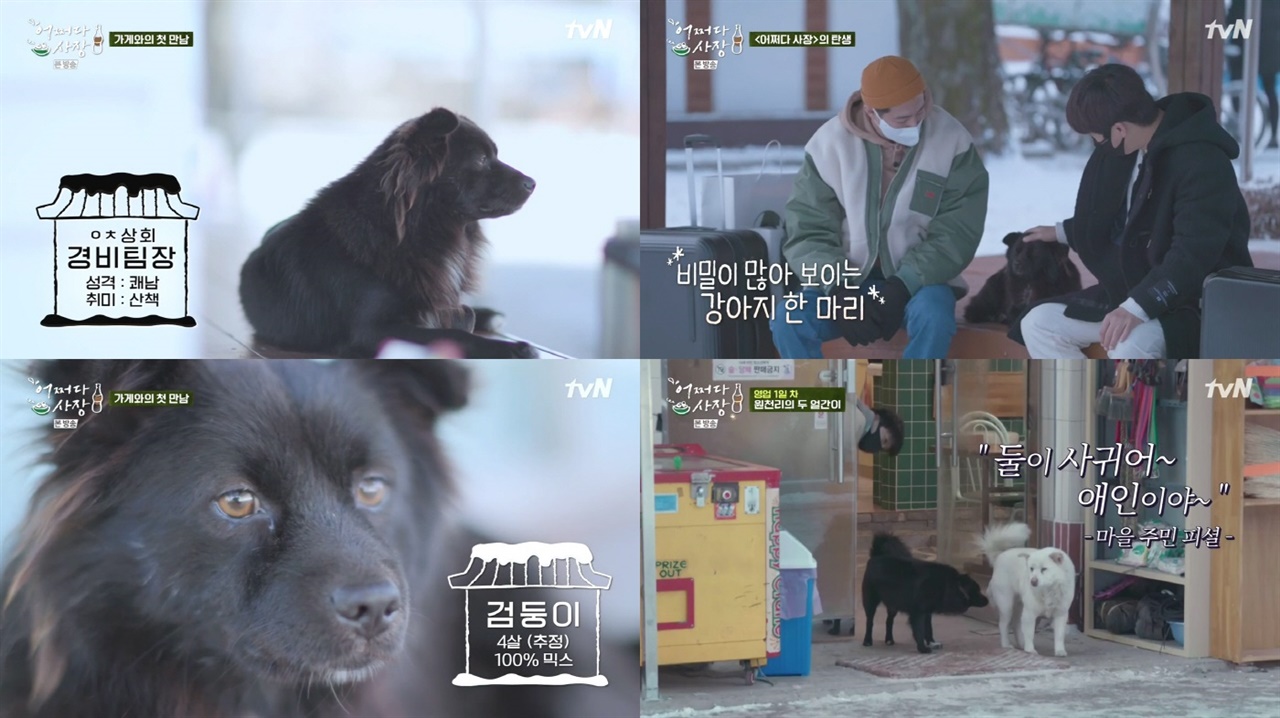  tvN '어쩌다 사장'의 주요 장면.  촬영 장소로 활용되는 가게의 터줏대감 강아지 검둥이는 매회 마다 신 스틸러 역할을 톡톡히 담당해준다. 