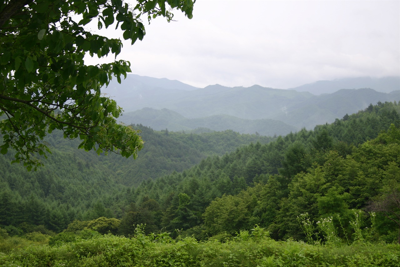 아름다운 국토 대자연(강원도 횡성군의 한 산촌마을)