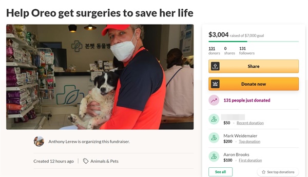 기아 타이거즈 전 투수이자 현재 퓨처스(2군) 코디네이터를 맡고 있는 앤서니 르루가 차에 치인 강아지를 구조해 보호하고 있다고 밝히며 16일 치료비 마련을 위한 펀딩에 나섰다.