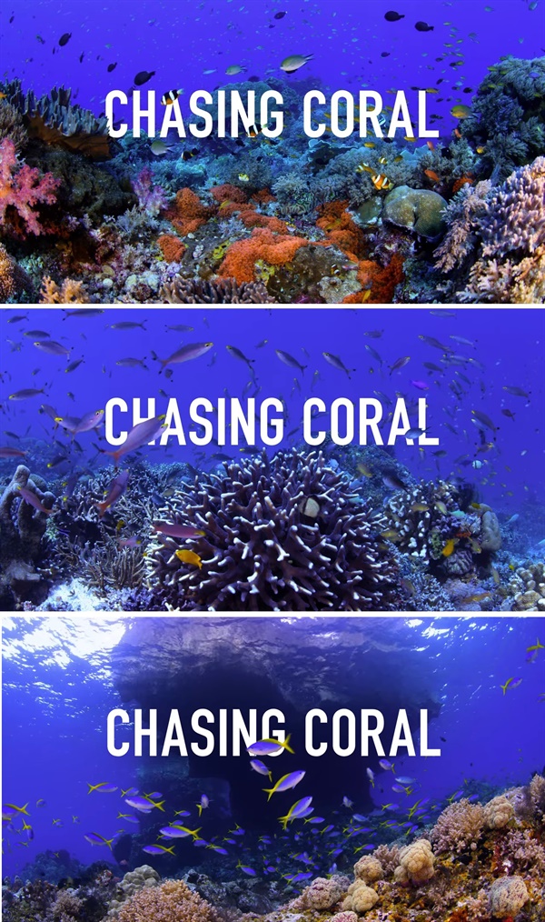 <산호초를 따라서>  건강한 산호초를 배경으로 제작된 <산호초를 따라서> 제목 화면. 