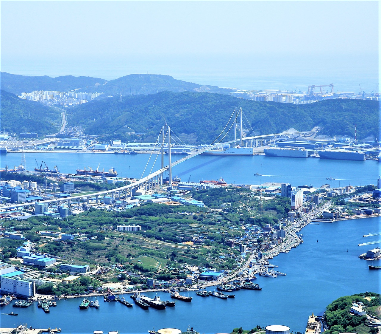 고래로 유명한 장생포와 울산항을 건너는 대교 모습이 웅장하다.