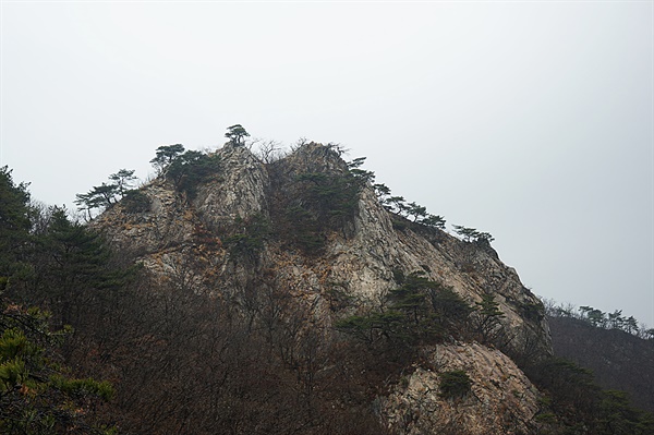 자연성릉을 지나며 바라본 계룡산의 풍경