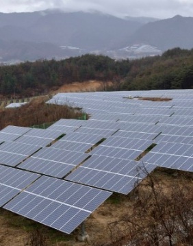 전북 장수군 야산 인근에 설치된 태양광 시설.  