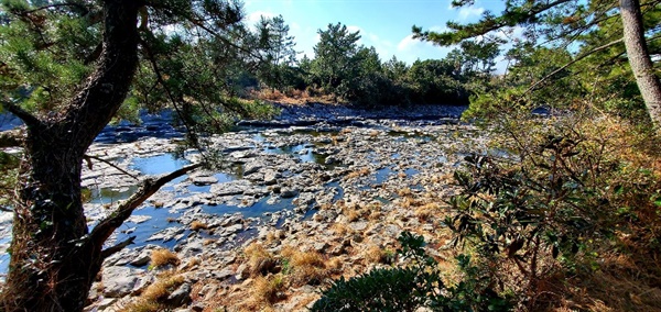 강정천(江汀川)