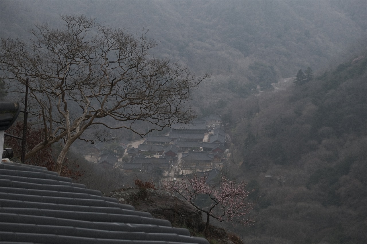 약사암에서 바라본 백양사 전경 쌀쌀한 3월. 안개낀 백양사의 모습은 여전히 아름답다. 