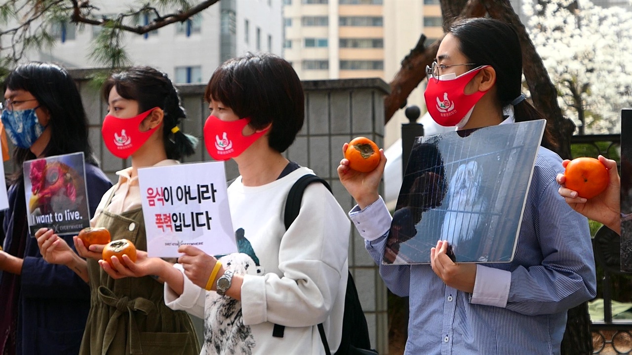 4월 2일 남부지방법원 앞 DxE 활동가들이 감과 피켓을 들고 서있다
