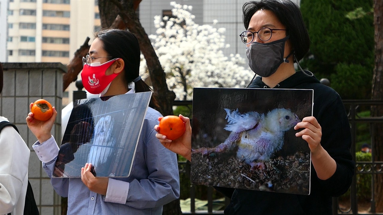 4월 2일 남부지방법원 앞 활동가들이 감과 사진을 들고 서있다.