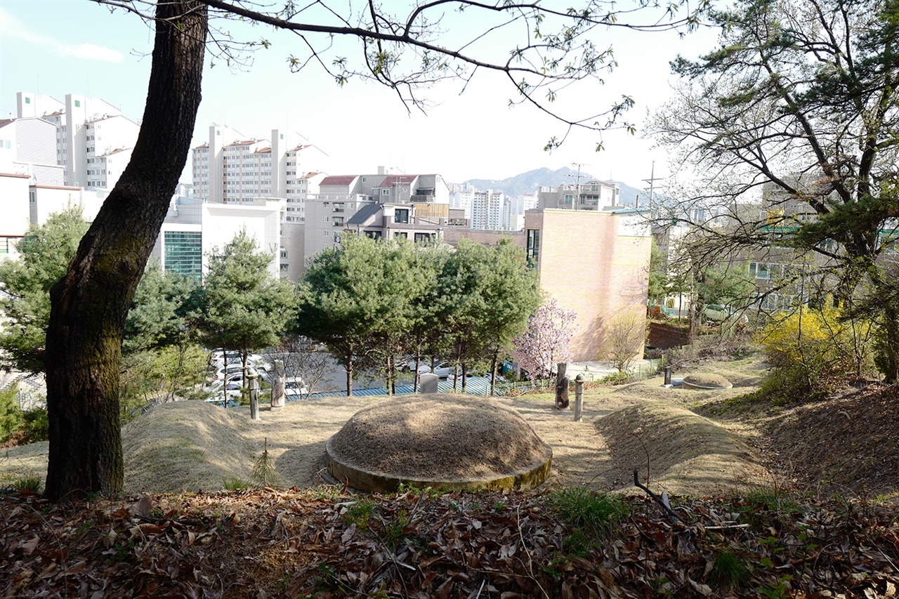 금오동 일대에는 금림군 일가의 묘역이 있다. 