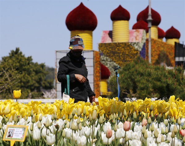 안면도국제꽃박람회가 열린 충남 태안군 안면도의 코리아플라워파크에서는 지난 9일부터 5월 10일까지 태안 세계튤립꽃박람회가 열리고 있다. 사진은 개장 후 1주일이 지난 15일 튤립꽃축제장.