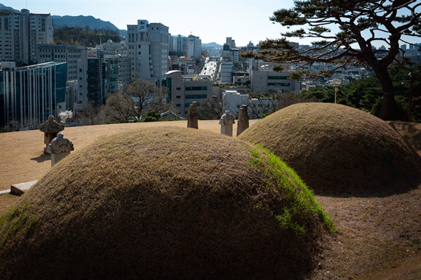 효령대군과 예성부부인 해주 정씨 묘소. 세종대왕의 형이자 태종의 둘째 아들인 효령대군 이보 묘역.