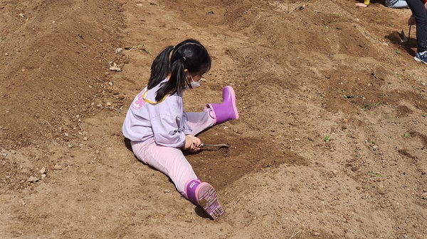 호미 잡은 아이들이 밭고랑에 주저앉아 신나게 흙을 파헤칩니다.