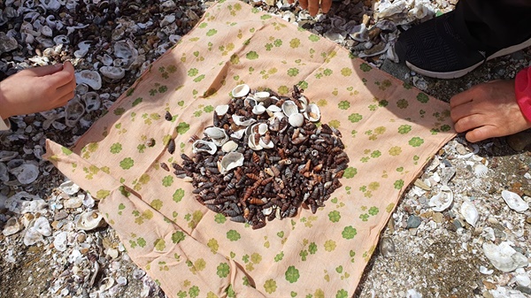봄바람에 살랑거리는 바닷가로 나가 조개껍데기를 줍습니다.