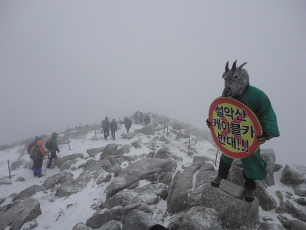 박그림 대표가 산양의 가면을 쓰고 설악산에서 1인 시위를 하고 있다.