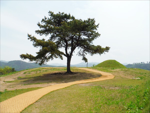    말이산 9호분으로 가는 길에서. 한가하고 평화스런 풍경이 가슴 설레게 했다.